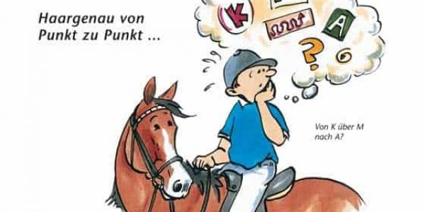 Dressurlehrgang